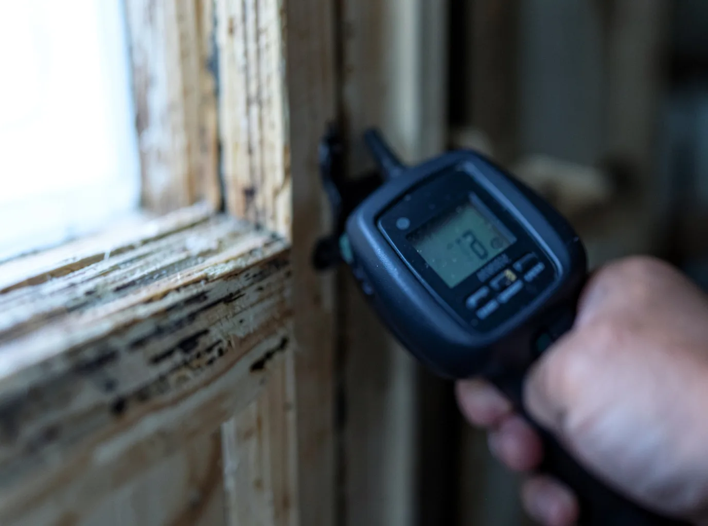 Moisture Inspection And Documentation in Dexter, ME